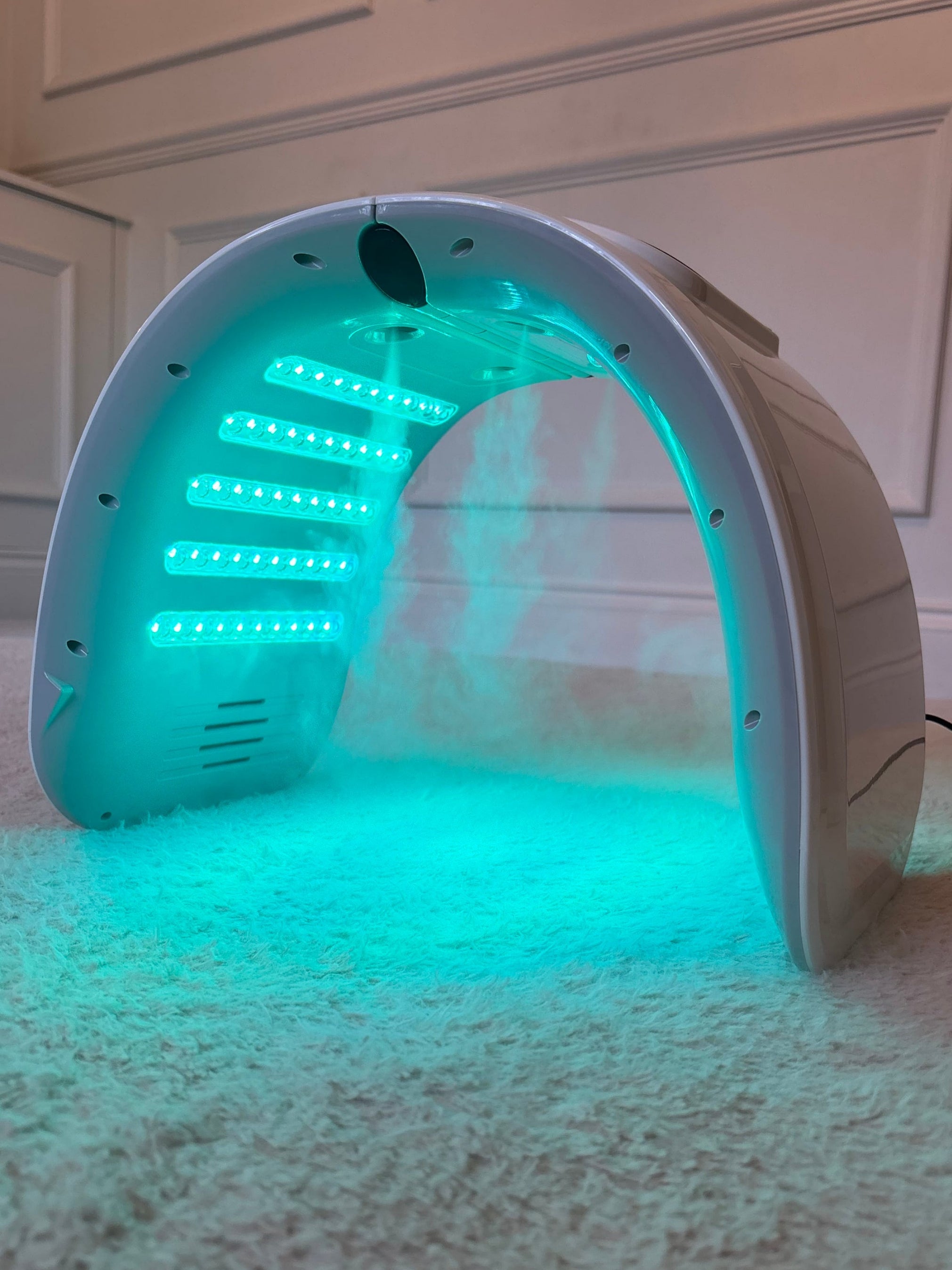 LED Light Therapy Facial Dome with Mist